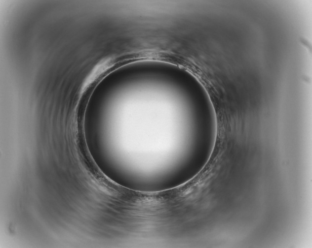 X0000099440198200805091320