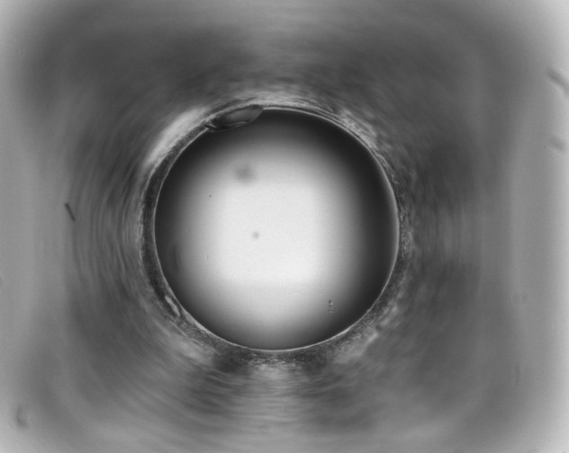 X0000099440199200805091320