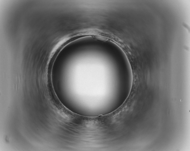 X0000099440200200805091320