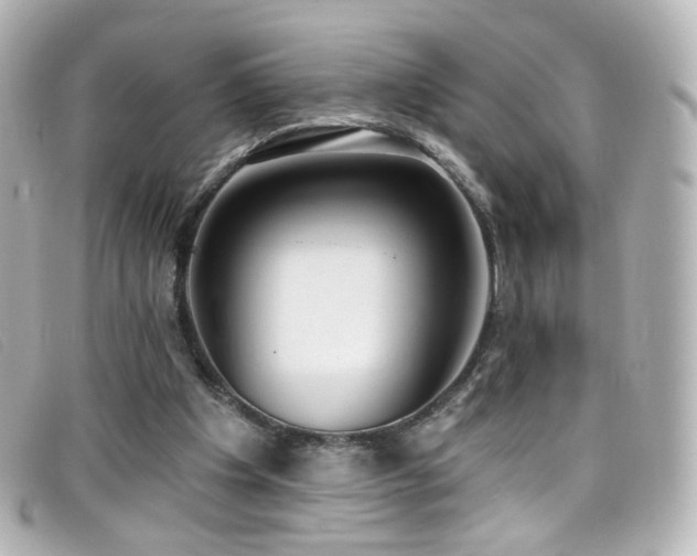 X0000099440201200805091320