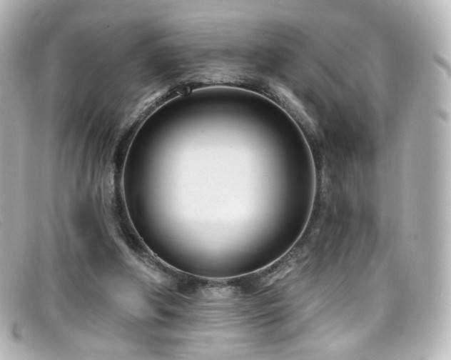 X0000099440202200805091320