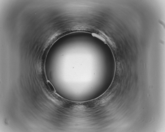 X0000099440203200805091320