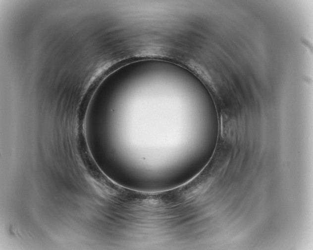 X0000099440204200805091320
