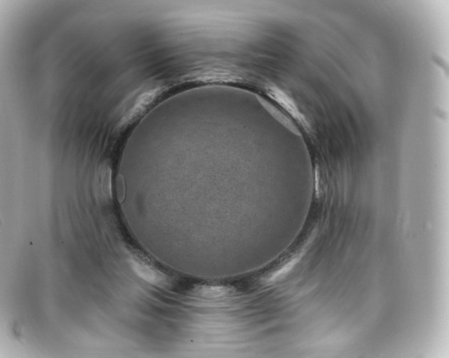 X0000099440205200805091320