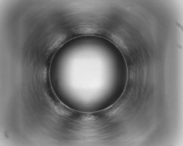 X0000099440206200805091320