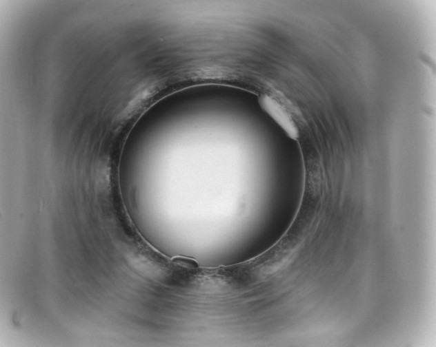 X0000099440207200805091320