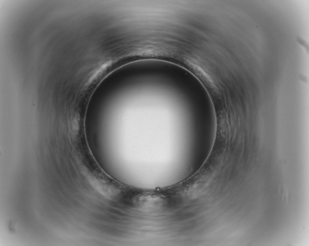 X0000099440208200805091320