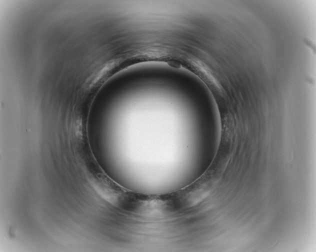 X0000099440212200805091320