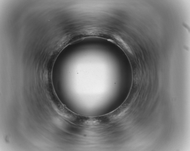 X0000099440213200805091320