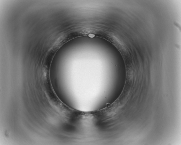 X0000099440214200805091320