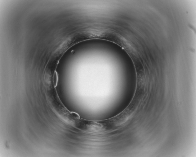 X0000099440215200805091320