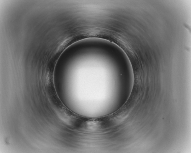 X0000099440216200805091320