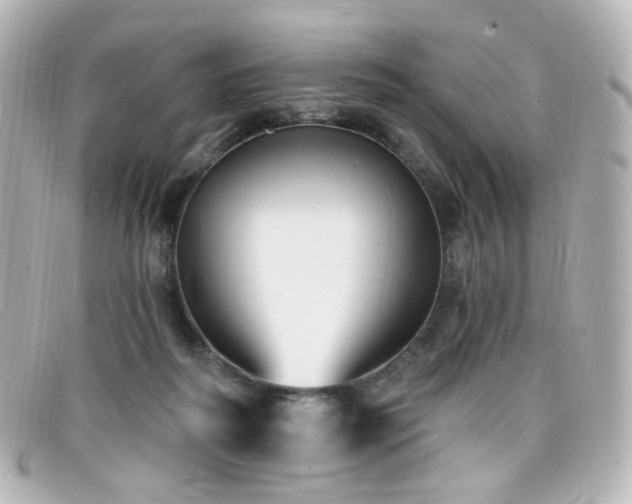 X0000099440218200805091320