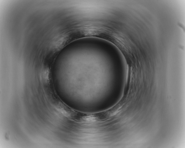 X0000099440219200805091320
