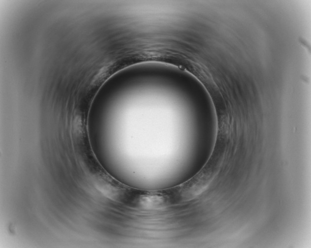 X0000099440220200805091320