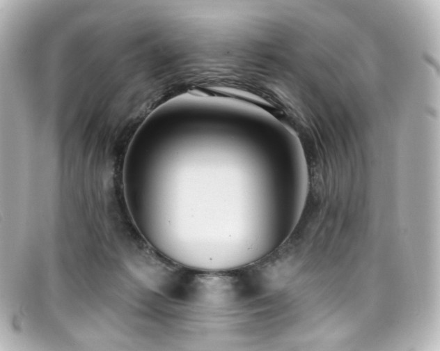X0000099440221200805091320