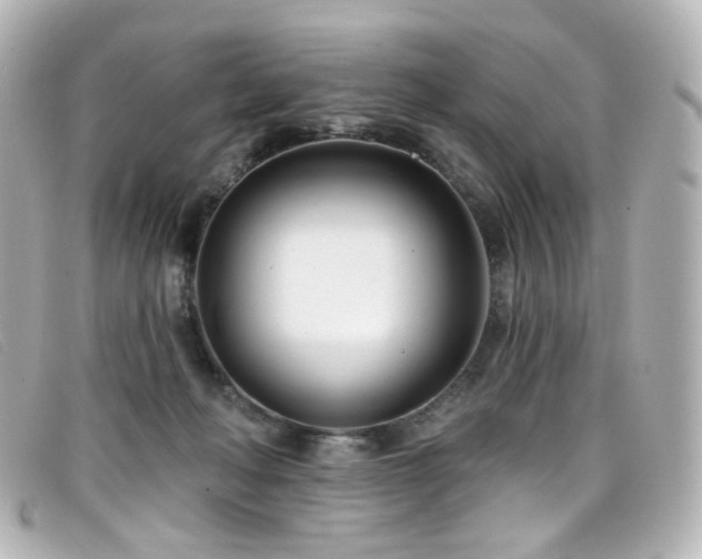 X0000099440222200805091320
