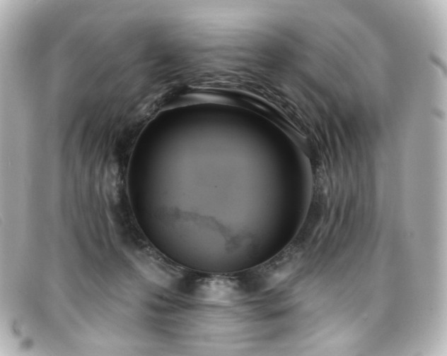 X0000099440223200805091320
