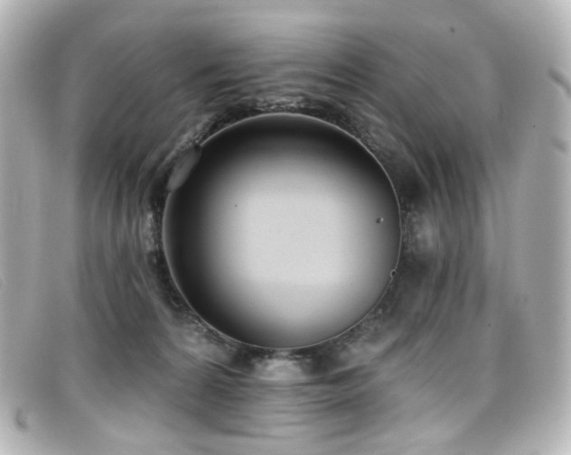 X0000099440224200805091320
