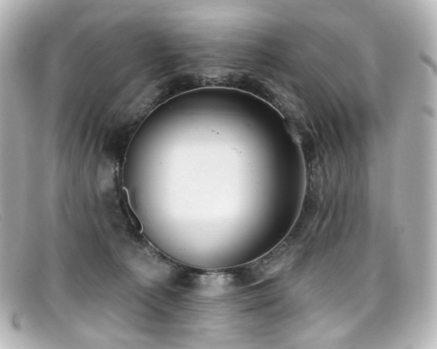X0000099440225200805091320