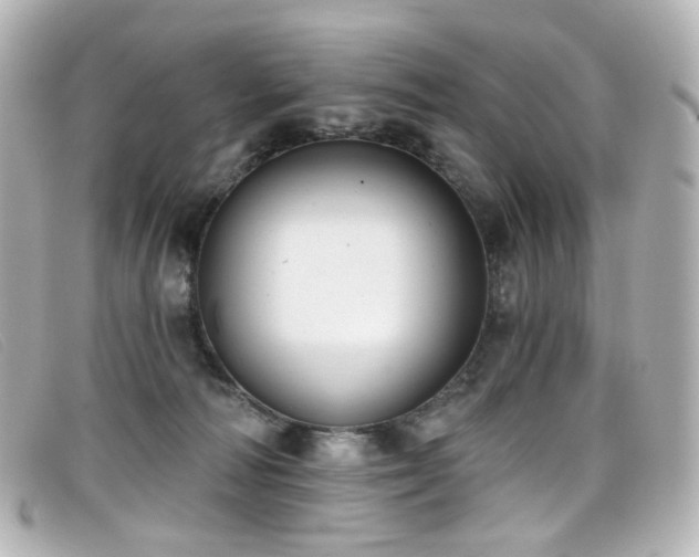 X0000099440226200805091320