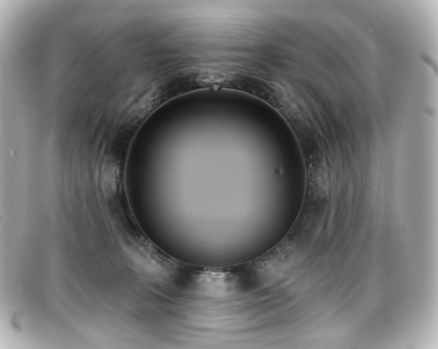 X0000099440227200805091320