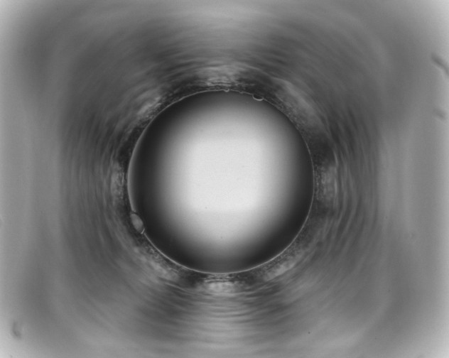 X0000099440228200805091320