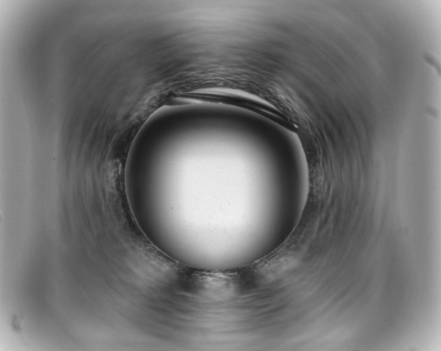 X0000099440229200805091320