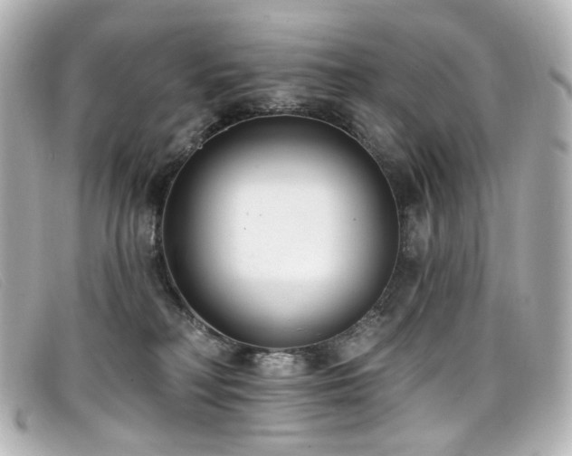 X0000099440230200805091320