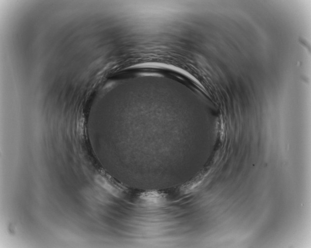 X0000099440231200805091320