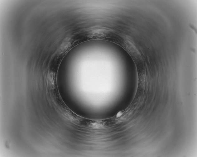 X0000099440232200805091320