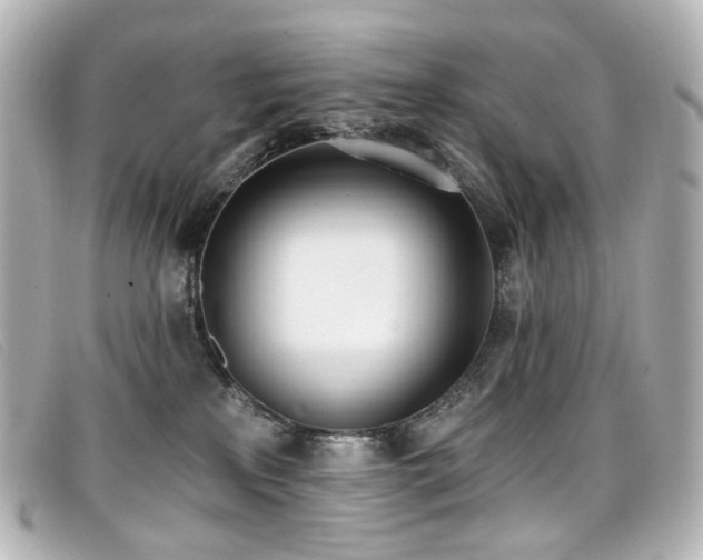 X0000099440233200805091319