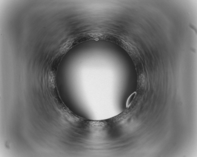X0000099440234200805091319