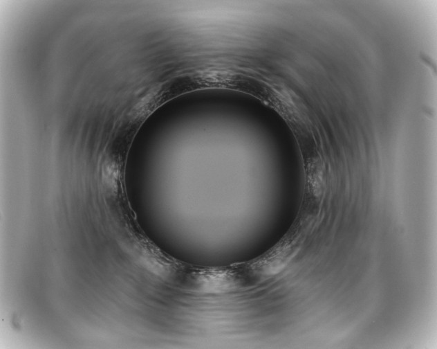 X0000099440235200805091319