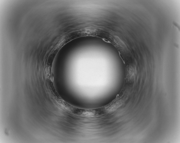 X0000099440236200805091319