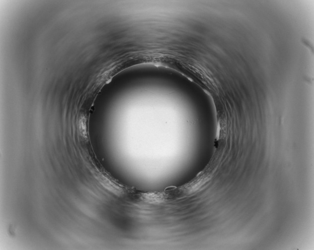 X0000099440238200805091319