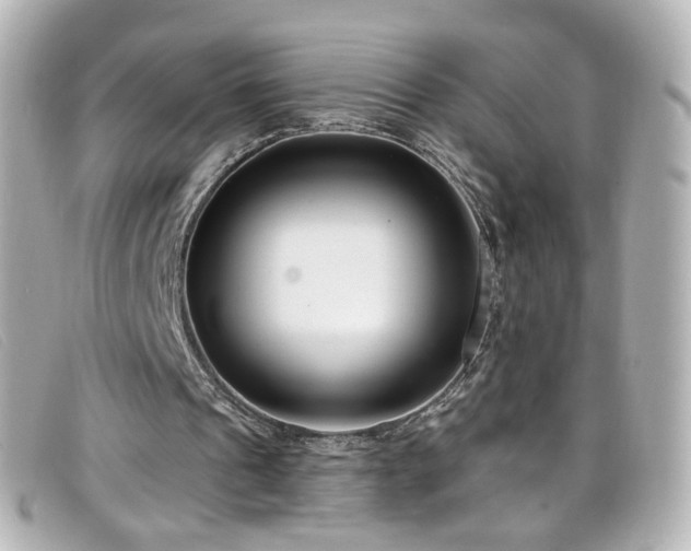 X0000099440241200805091319