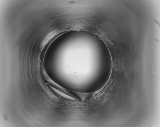X0000099440242200805091319