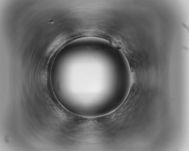 X0000099440243200805091319