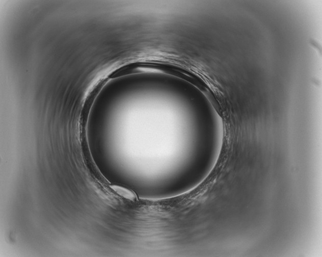 X0000099440244200805091319