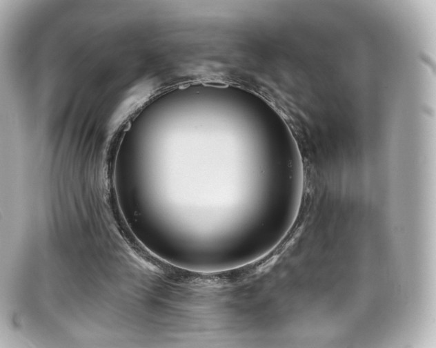 X0000099440245200805091319