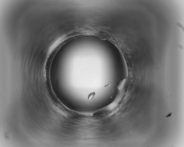 X0000099440246200805091319