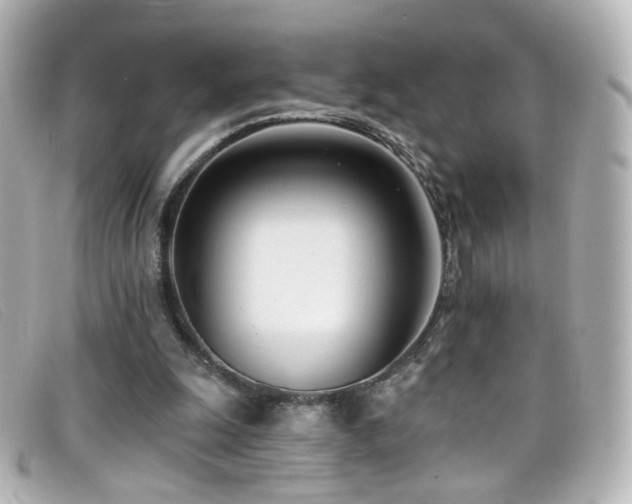 X0000099440247200805091319