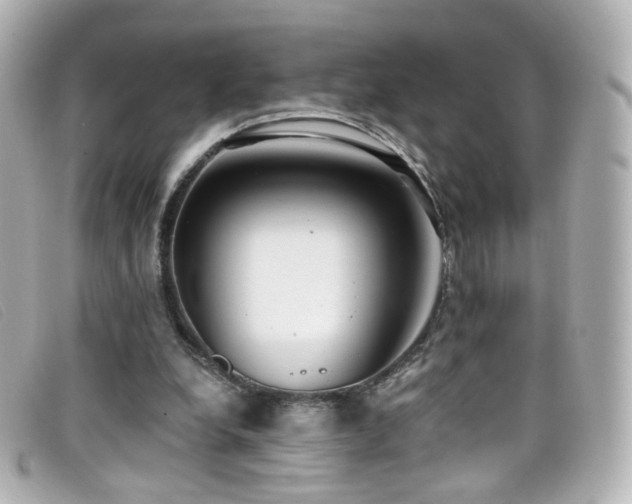 X0000099440248200805091319