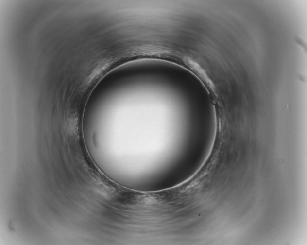 X0000099440249200805091319