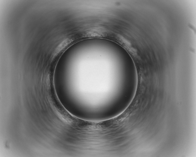 X0000099440250200805091319