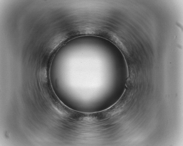 X0000099440251200805091319