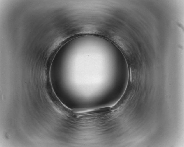 X0000099440252200805091319