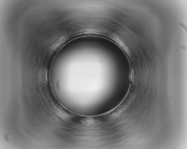 X0000099440253200805091319
