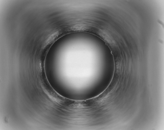 X0000099440254200805091319